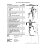 Alpinestars Leather Motorcycle Racing Suit CE Armor MotoGP Top grain Cowhide Mild Leather Suit - Image 7